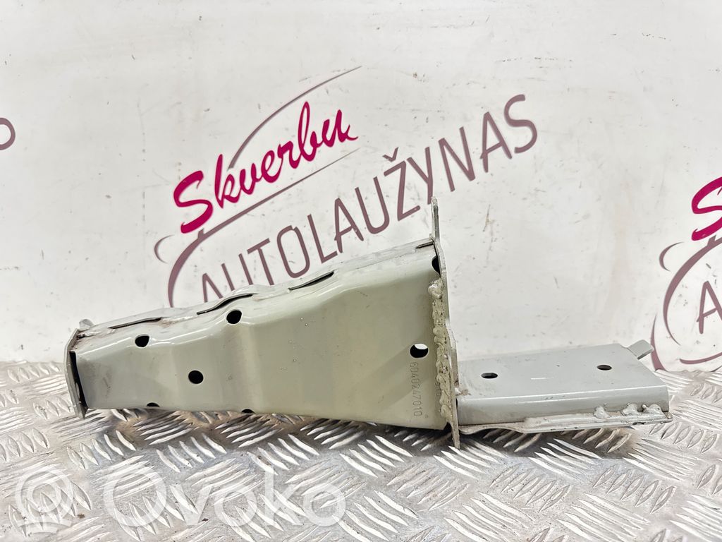 Componente de la parte frontal   622101517R,1209160434