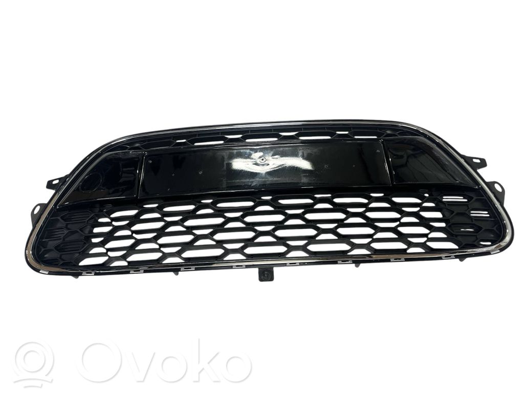 Citroen C3 Front grill 