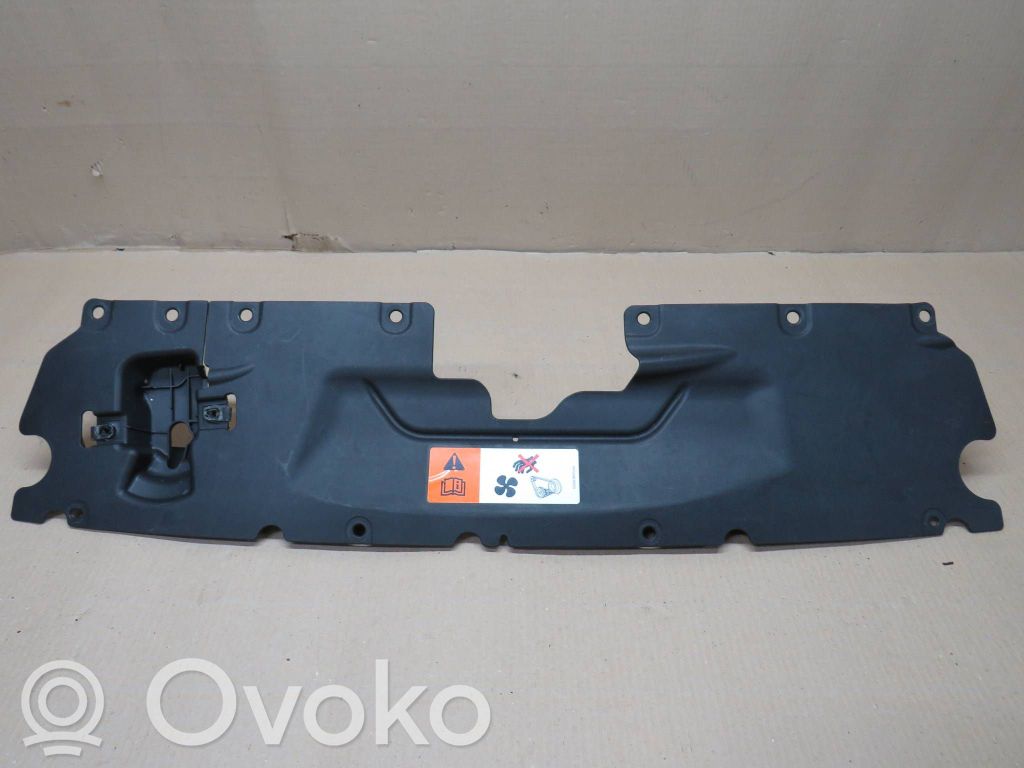 Radiator trim   EM2BR16613A