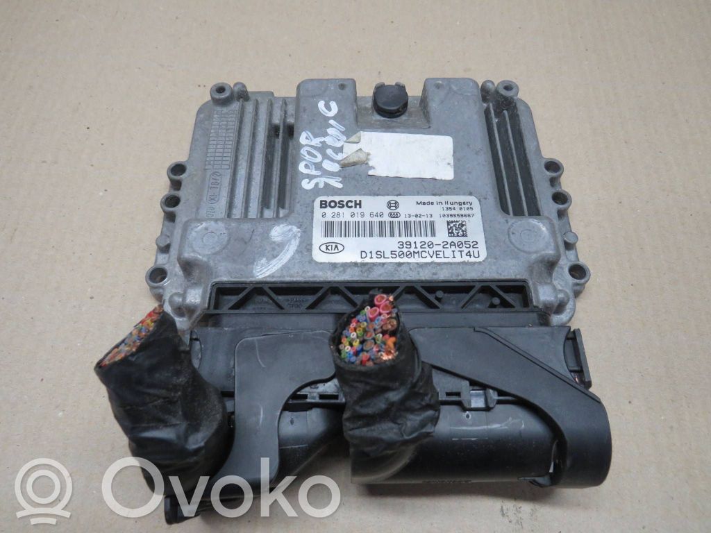 Engine control unit/module   0281019640,391202A052,1039S59667