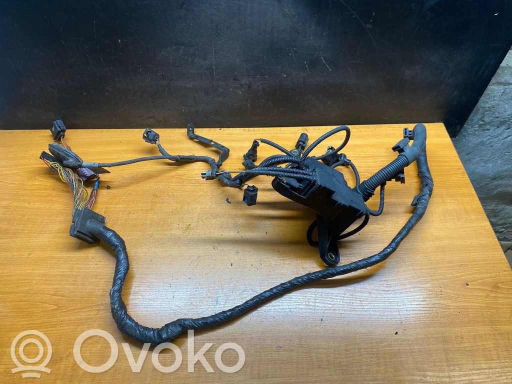 Engine installation wiring loom   7545181,75020006050,BAB42016