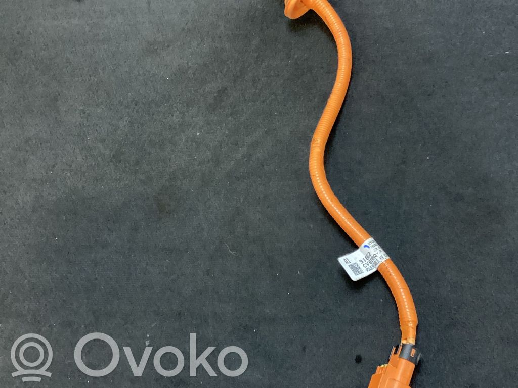 KIA EV6 Otros cableados 