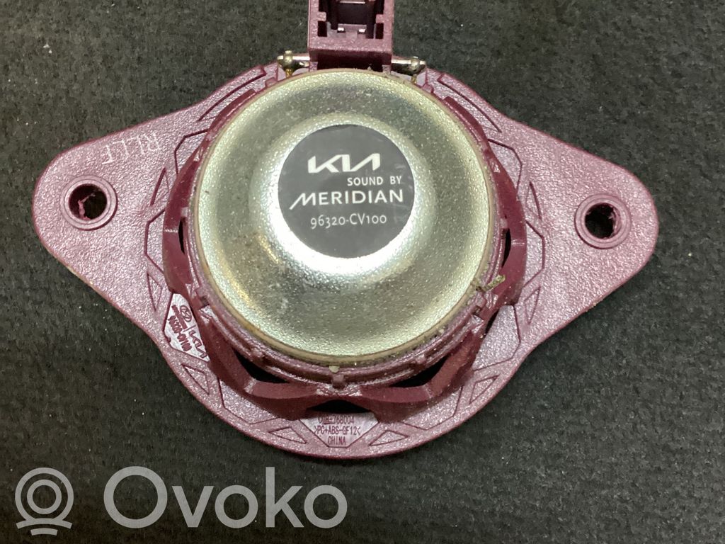KIA EV6 Panel speaker 