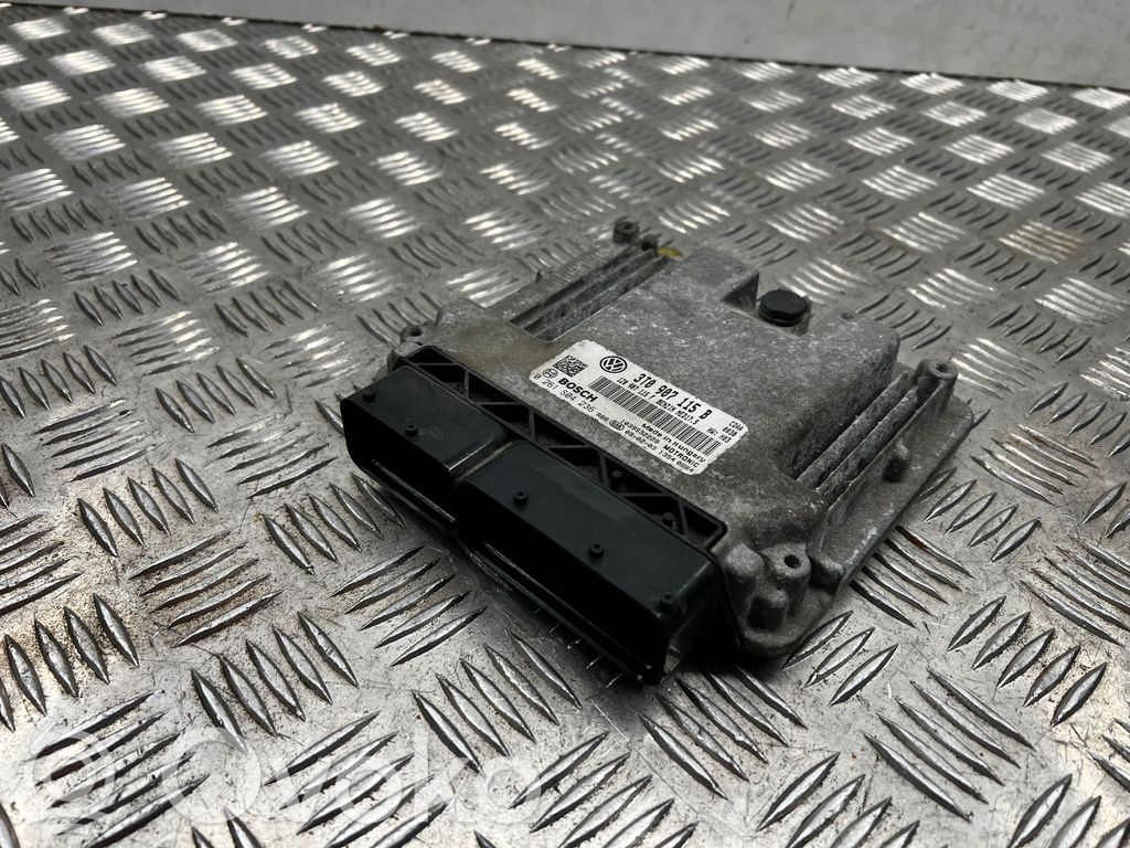 Engine control unit/module   3T0907115B,13540864,1Z0907115F