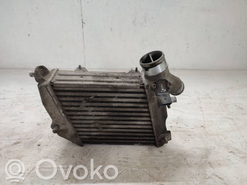 Audi A8 S8 D3 4E Interkūlerio radiatorius 