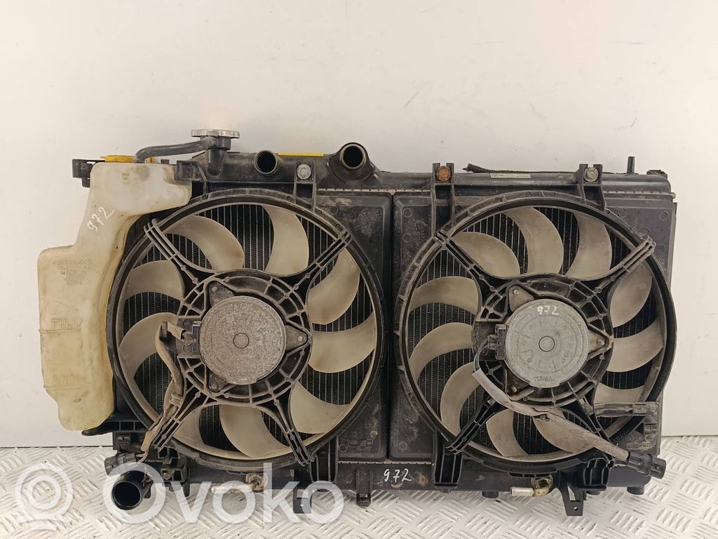 Radiator set   487D440C