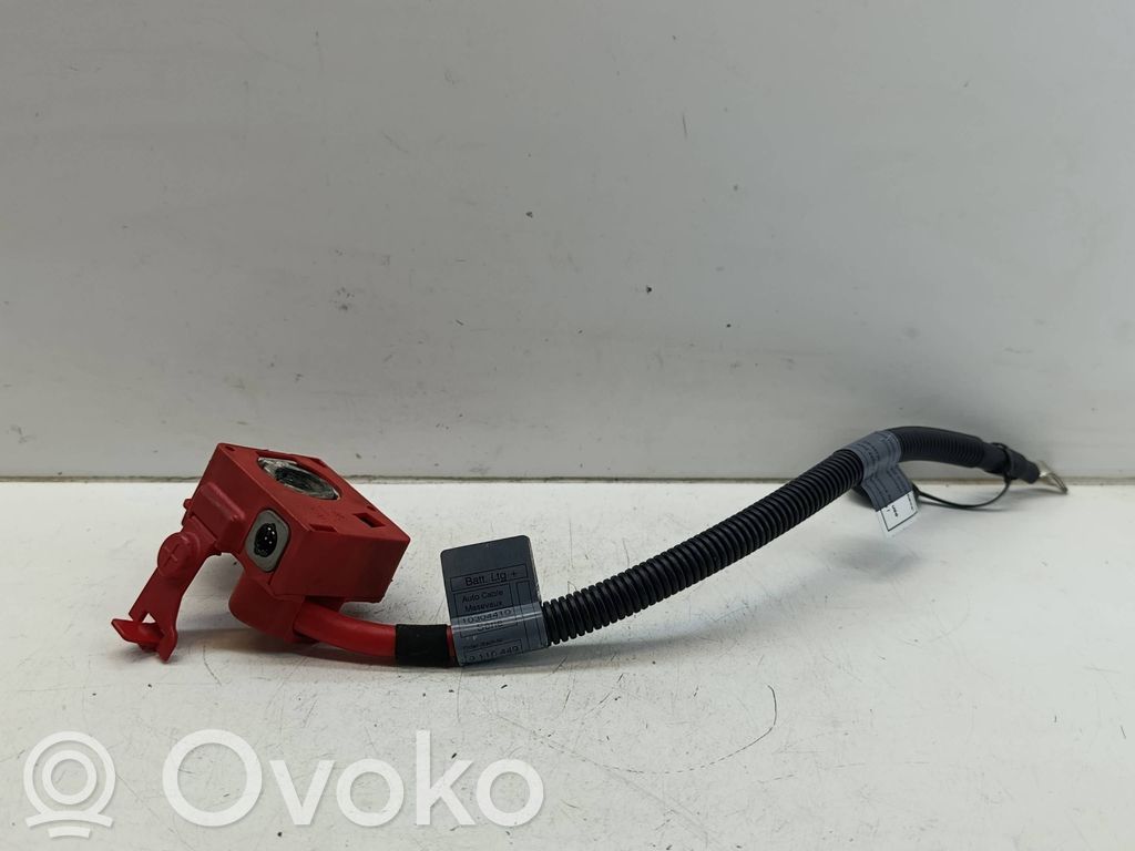 BMW X5 E70 Cavo positivo (batteria) 