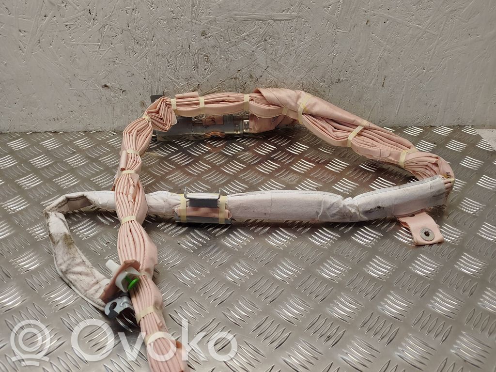 Airbag del techo   1096153,1070282