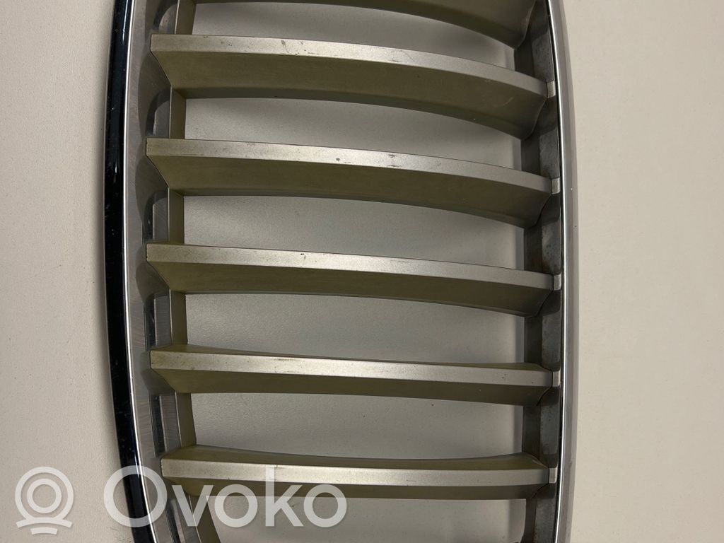 BMW X5 E70 Dzinēja pārsegs (dekoratīva apdare) 