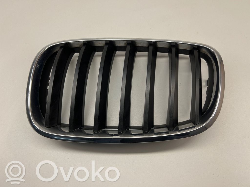 BMW X5 E70 Etupuskurin ylempi jäähdytinsäleikkö 