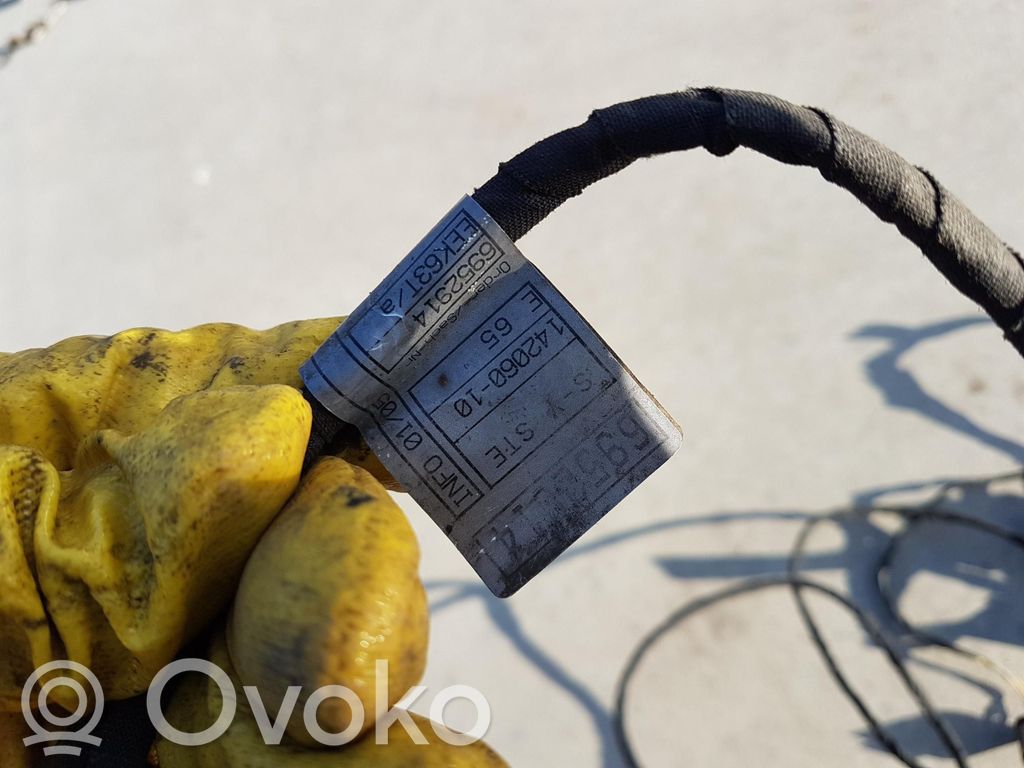 Arnés/cableado de puerta delantera   6952914
