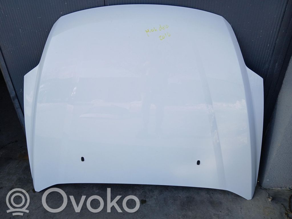 Motorhaube   1015,KOLOR