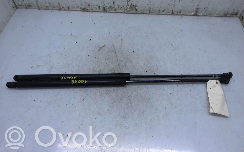 Renault Kangoo I Tailgate/trunk strut/damper 