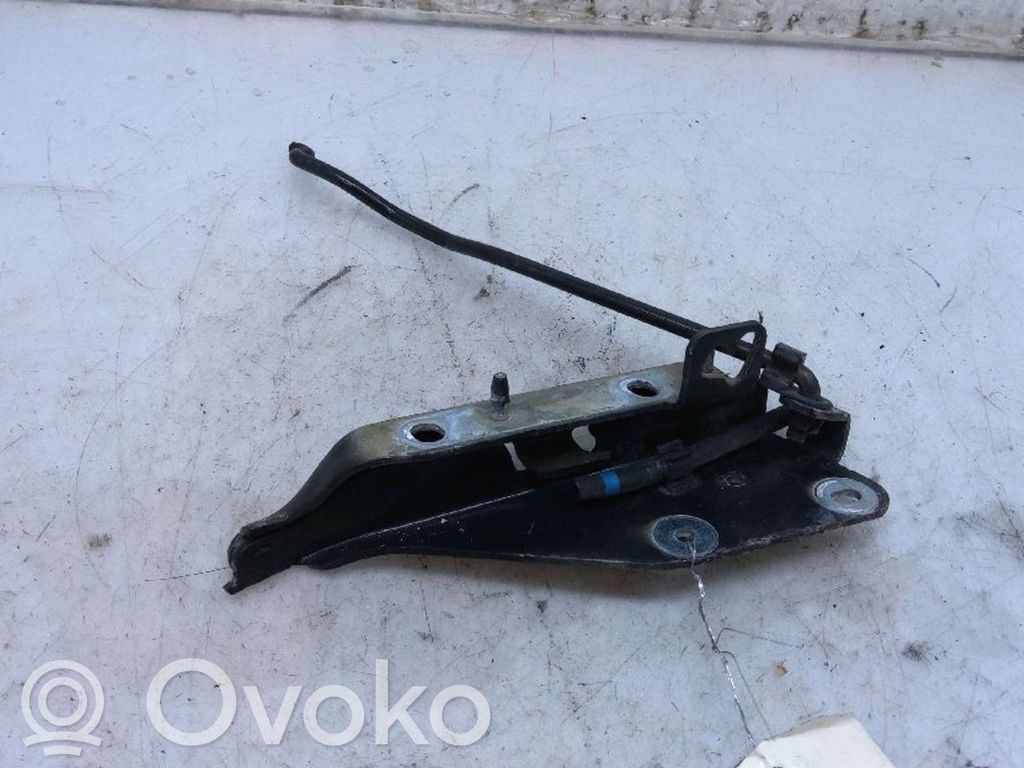 Citroen C3 Pluriel Dzinēja pārsega eņģe (-es) 