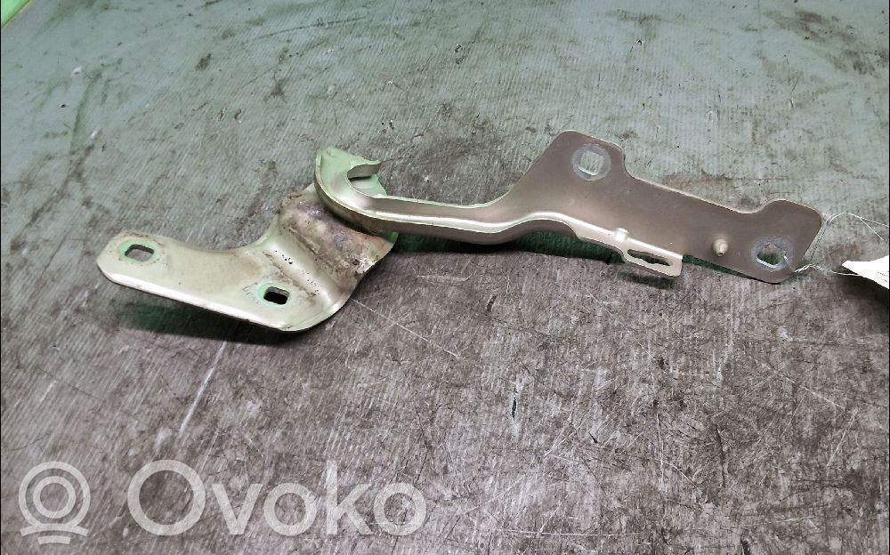 Renault Clio III Engine bonnet/hood hinges 