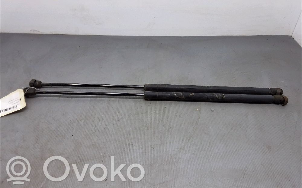 Tailgate/trunk strut/damper   873193