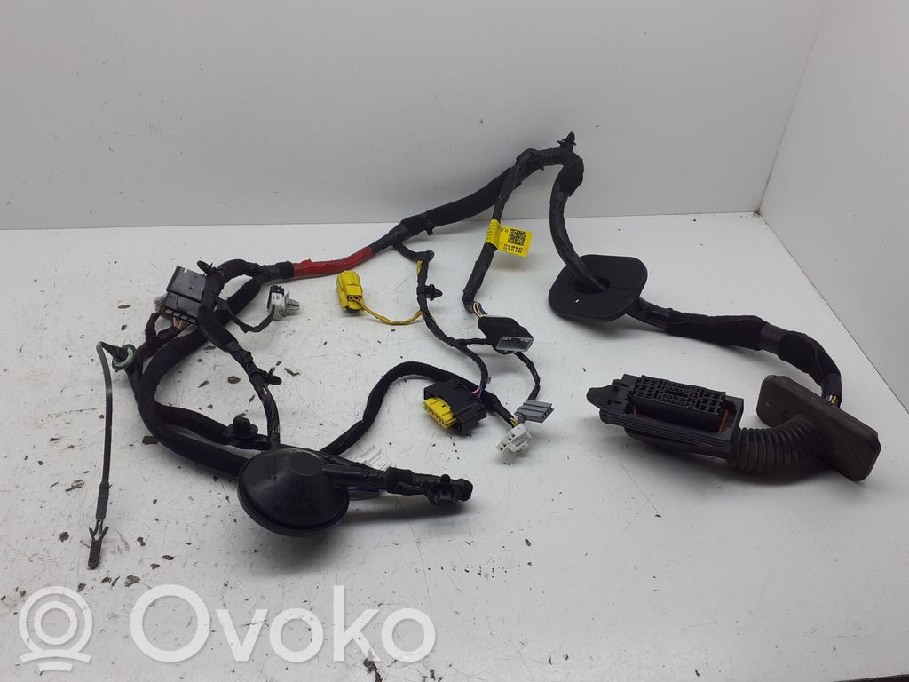 Cableado de puerta delantera   91610D4670