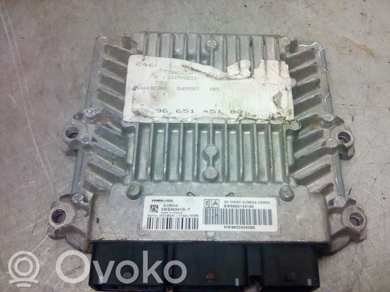 Citroen C4 I Variklio valdymo blokas 