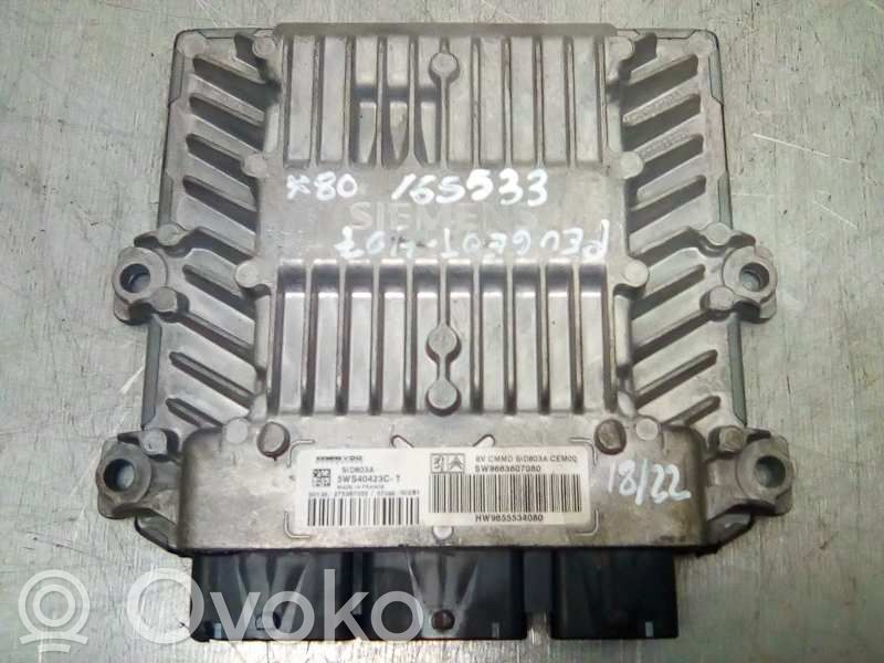 Peugeot 407 Engine control unit/module 