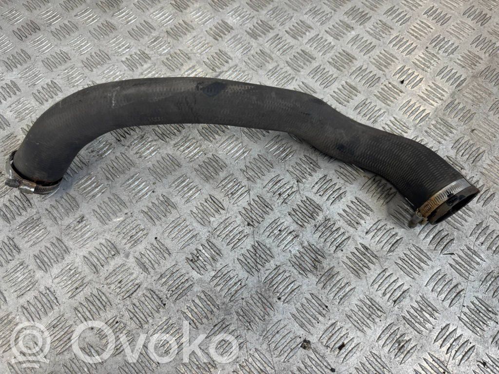 Citroen Jumpy Interkūlera šļūtene (-es) / caurule (-es) 