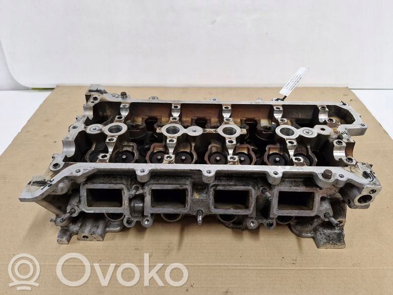 Nissan Juke I F15 Galvutė 