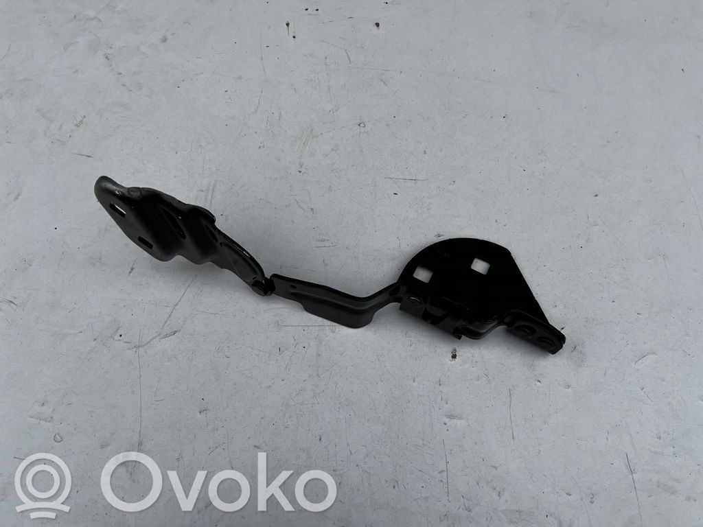 Tesla Model 3 Engine bonnet/hood hinges 