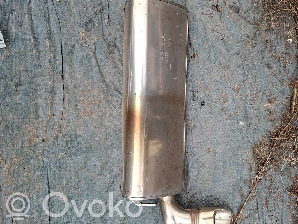 Galinė pūslė   52109697