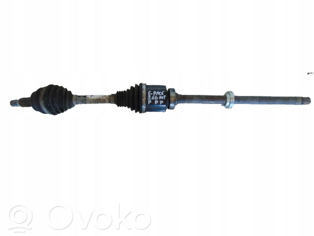 Półoś tylna   EJ323B436CA