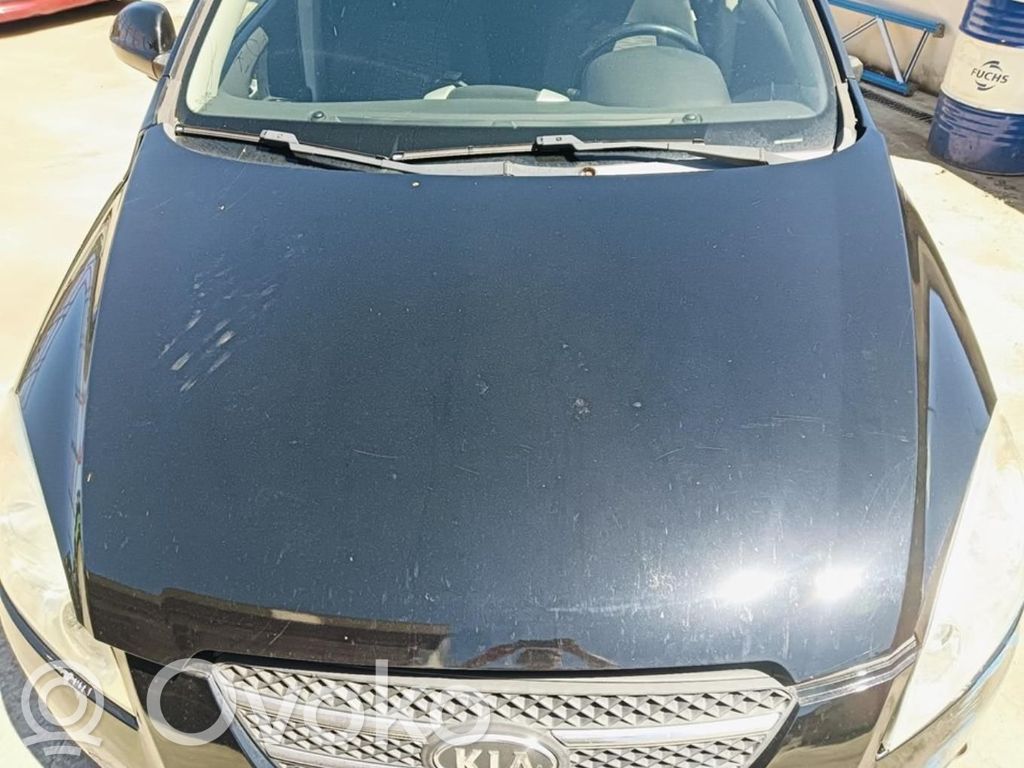 Engine bonnet/hood