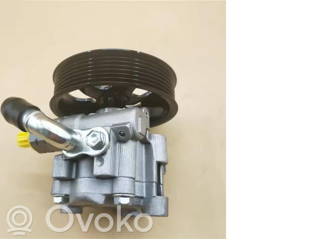 Power steering pump   1758113
