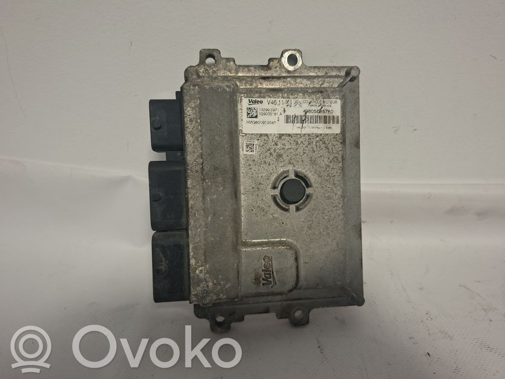 Engine control unit/module   9805895780,132990971,V29035181A