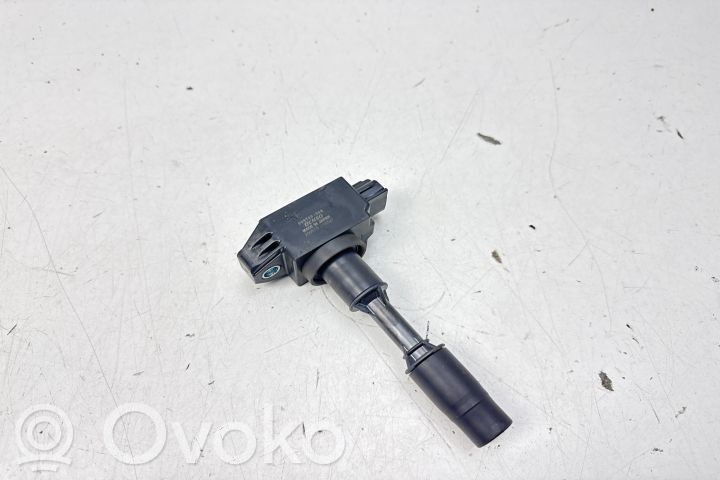High voltage ignition coil   099700304