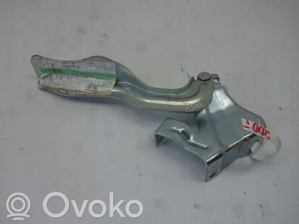 Nissan Qashqai Engine bonnet/hood hinges 