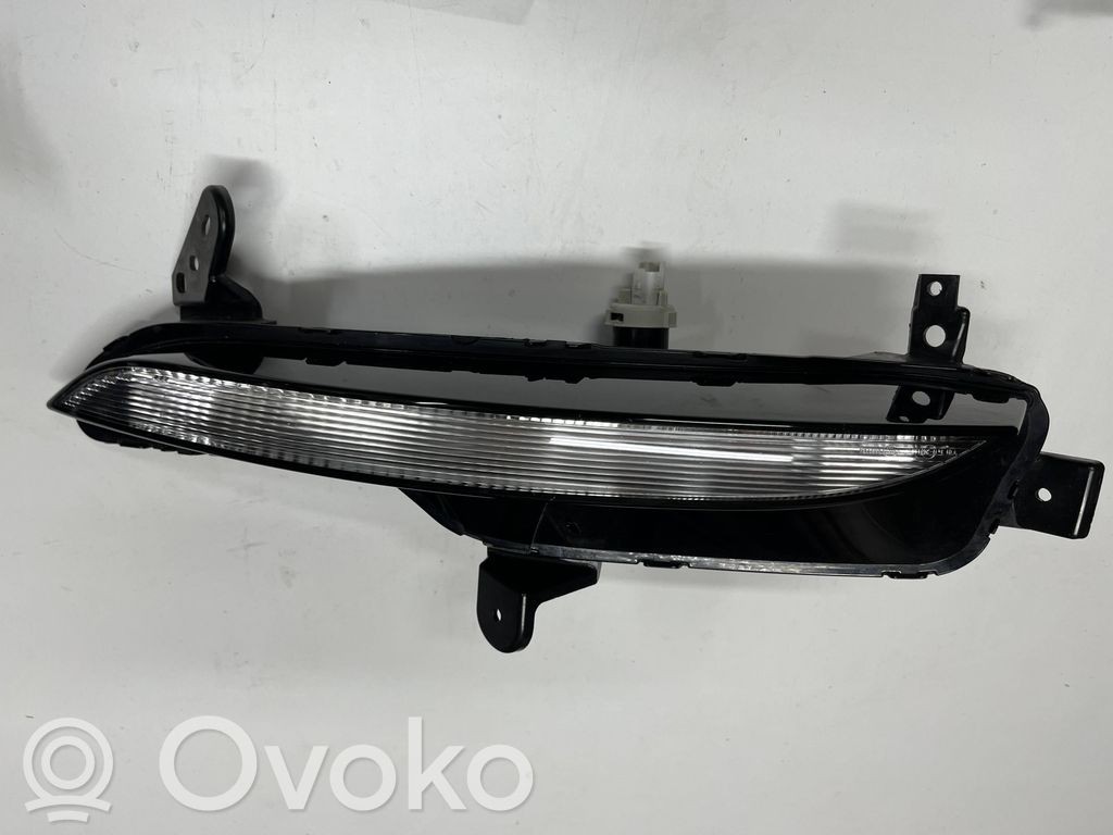 Frontblinker   261306376R,2BA012349
