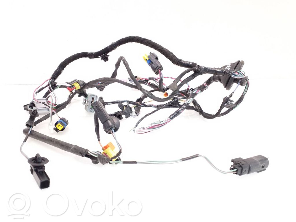 Cableado de puerta trasera   103244290G