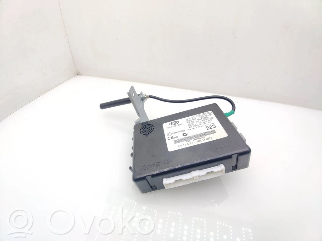 KIA Ceed Otras unidades de control/módulos 