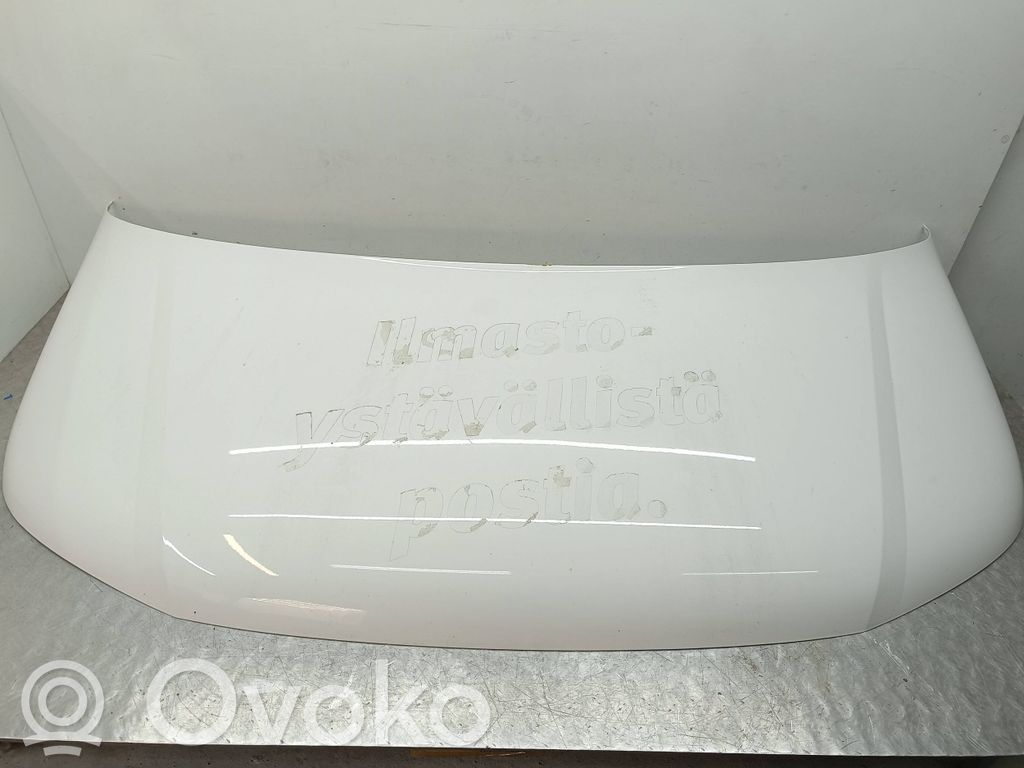 Volkswagen Transporter - Caravelle T5 Motorhaube 