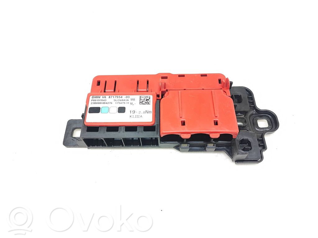 BMW i4 Positive wiring loom 
