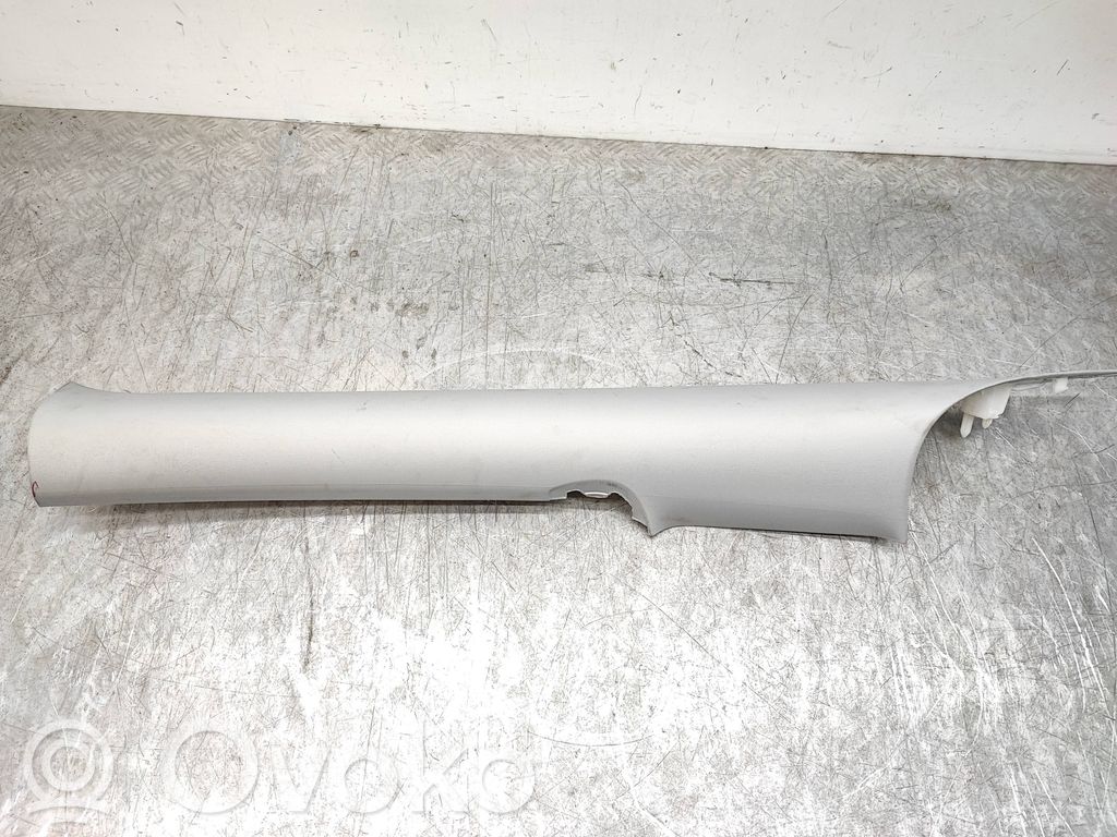 Tesla Model 3 (D)pillar trim (top) 
