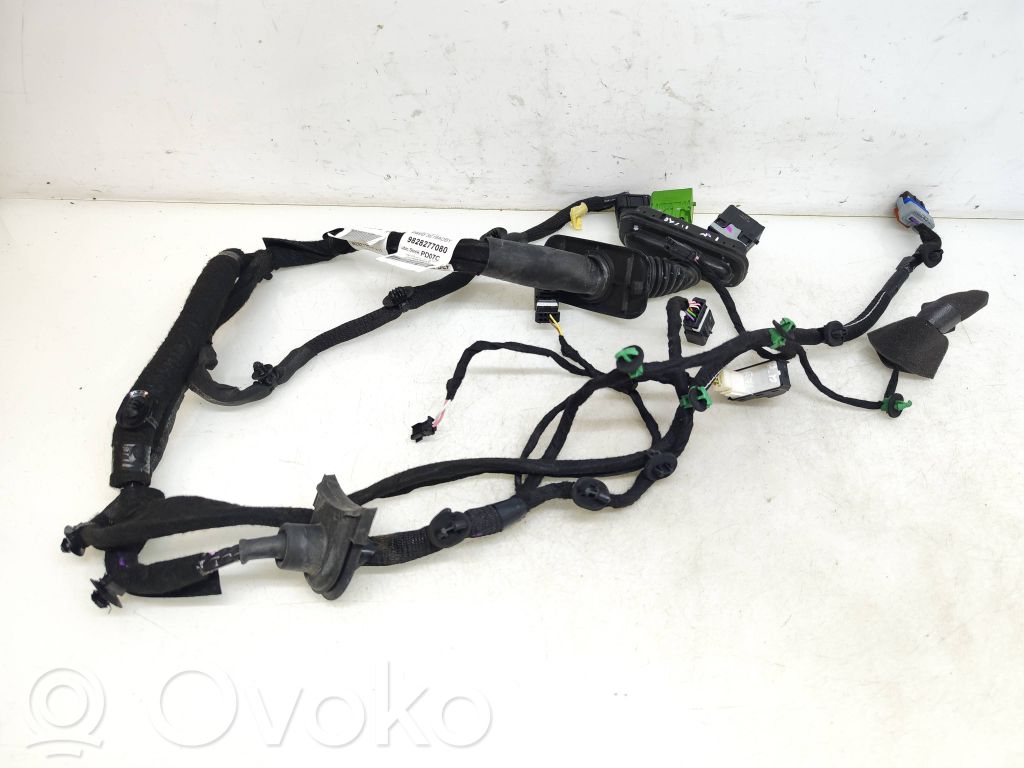 Peugeot Partner III Cablaggio porta anteriore 