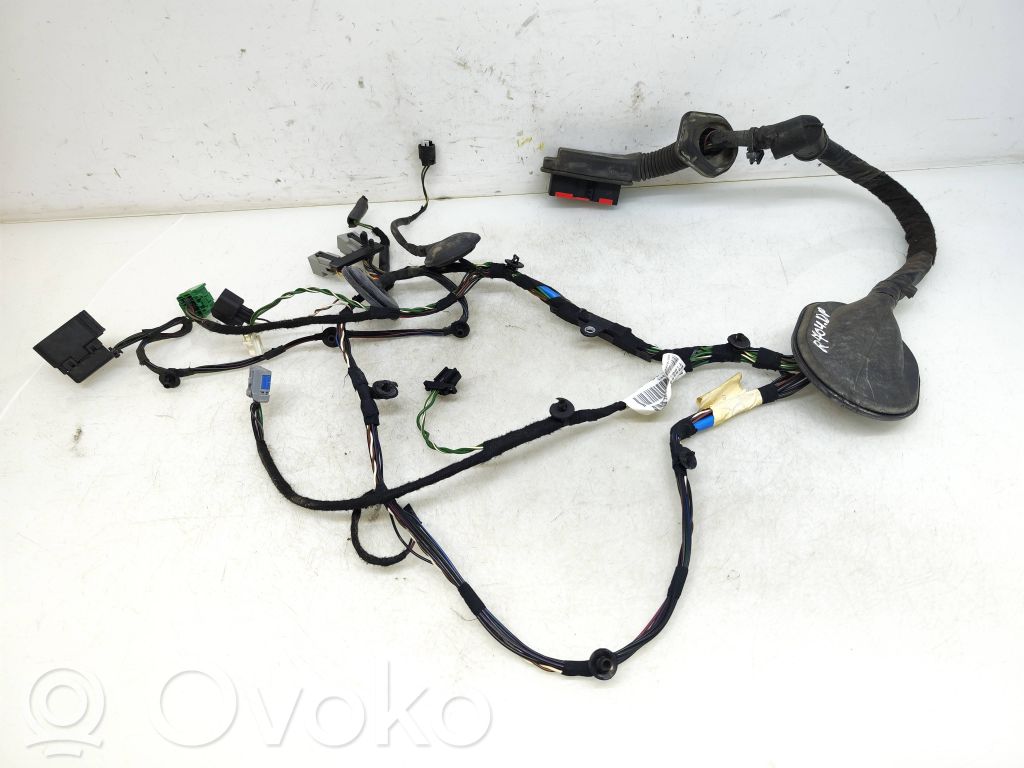 Land Rover Range Rover Sport L320 Cablaj ușă față 
