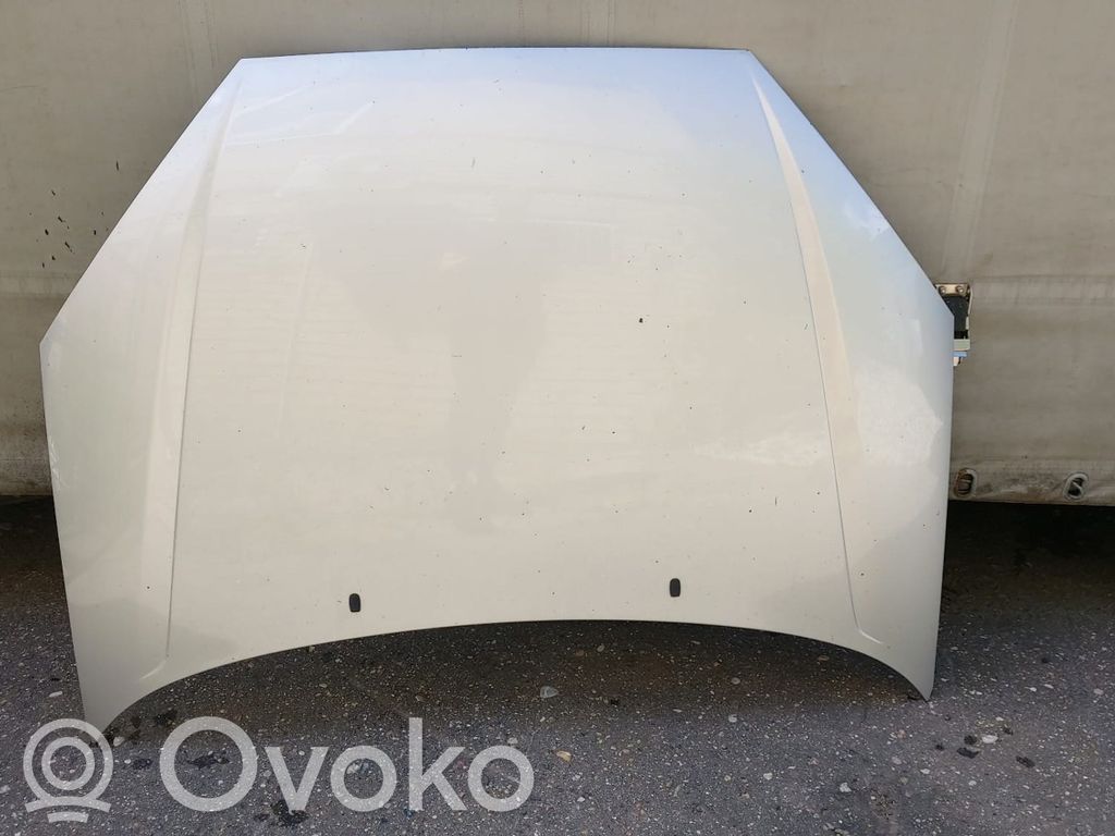 Dangtis variklio (kapotas)