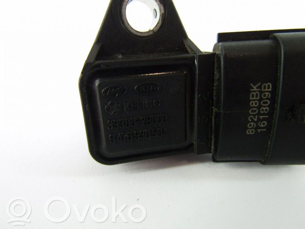 Luftdrucksensor   393002B000