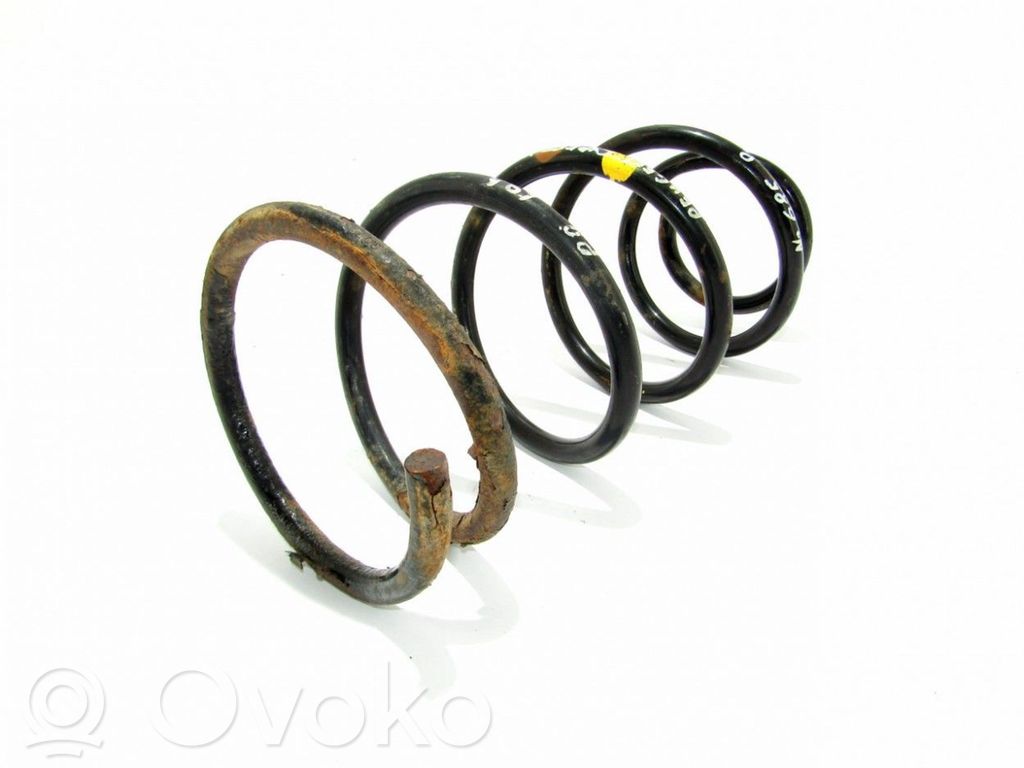 Front coil spring