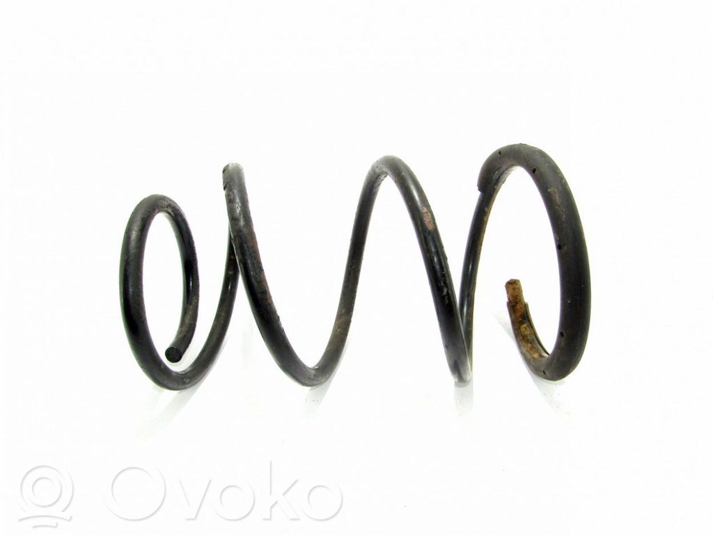Front coil spring