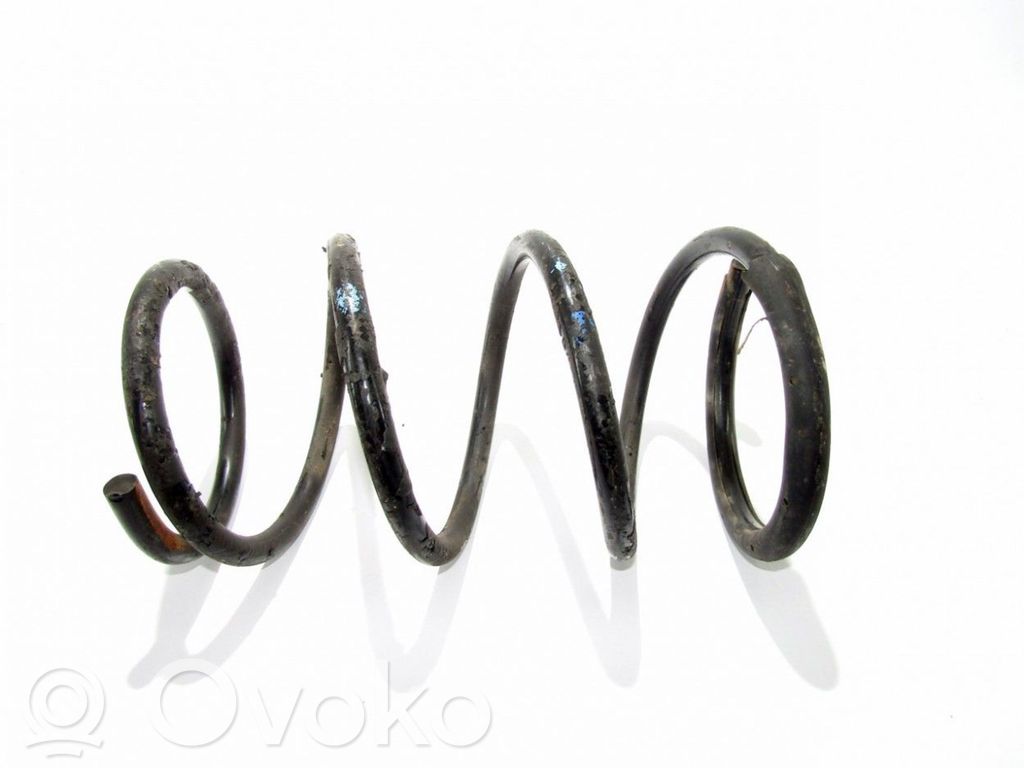 Front coil spring