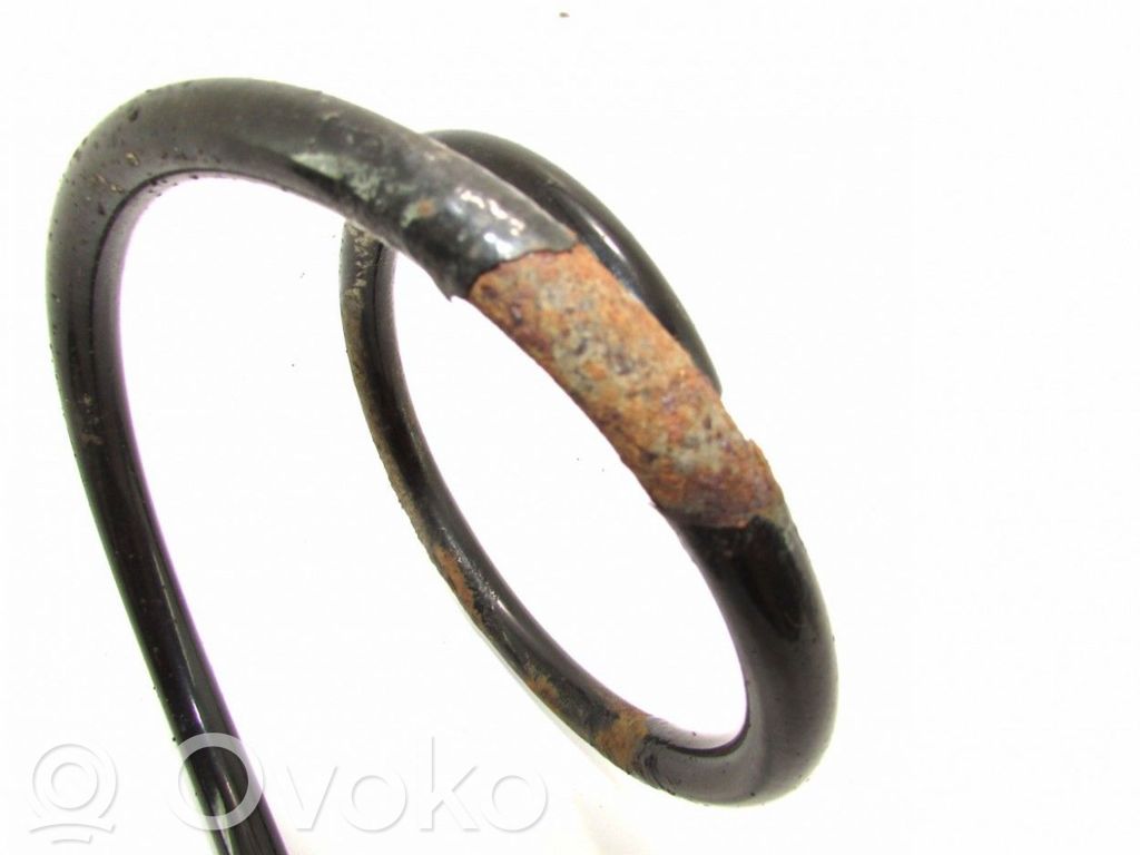 Front coil spring