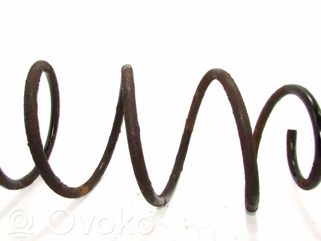 Front coil spring
