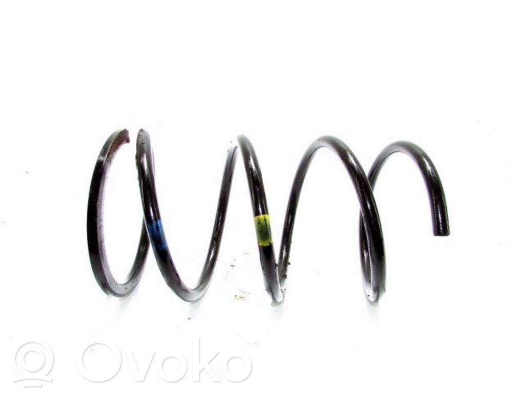 Front coil spring