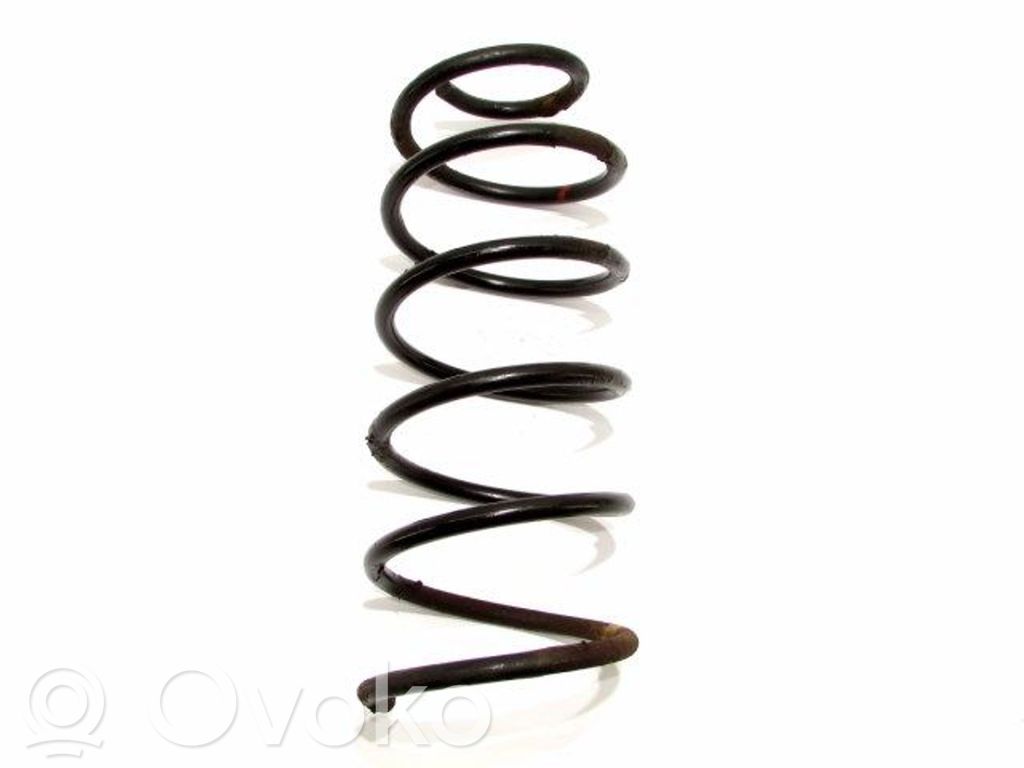 Front coil spring